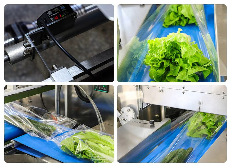 HY-680蔬菜包裝機機械細節